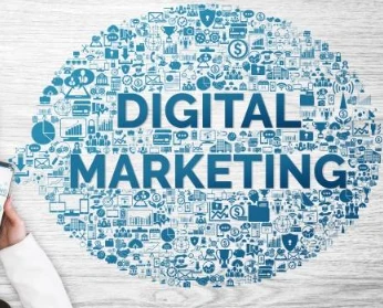 What Strategies Do Marketing Agencies Use to Increase Followers Organically?